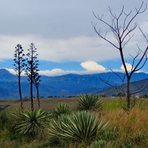 Nevado del Tolima and Farallones de Cali